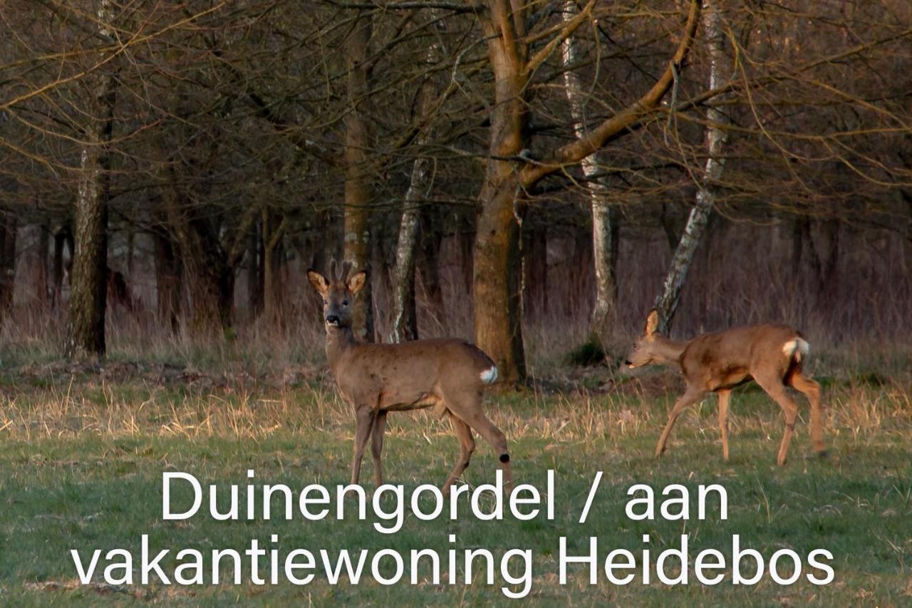 Vakantiewoning Heidebos In Het Nationaal Park Hoge Kempen Opglabbeek Exterior foto