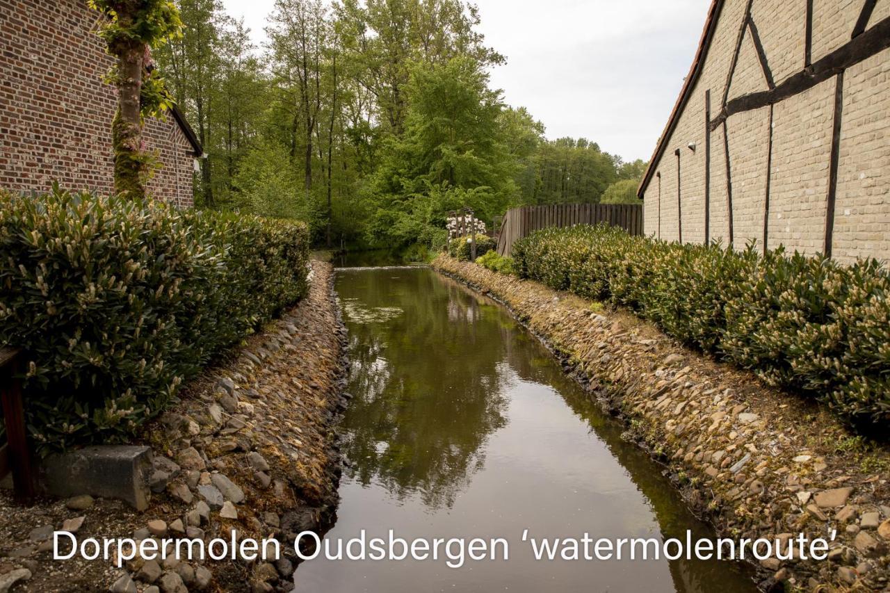 Vakantiewoning Heidebos In Het Nationaal Park Hoge Kempen Opglabbeek Exterior foto